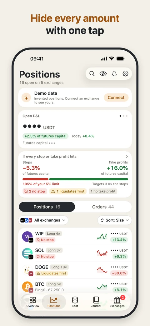 Amounts hidden in a tap.. Privacy mode hides the amounts on screen.